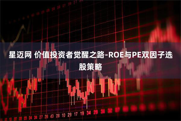 星迈网 价值投资者觉醒之路-ROE与PE双因子选股策略