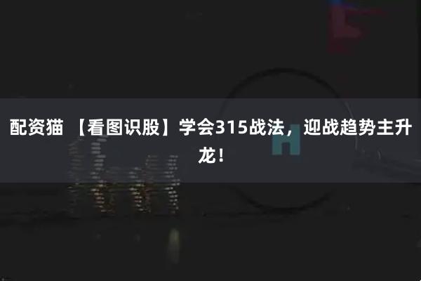 配资猫 【看图识股】学会315战法，迎战趋势主升龙！