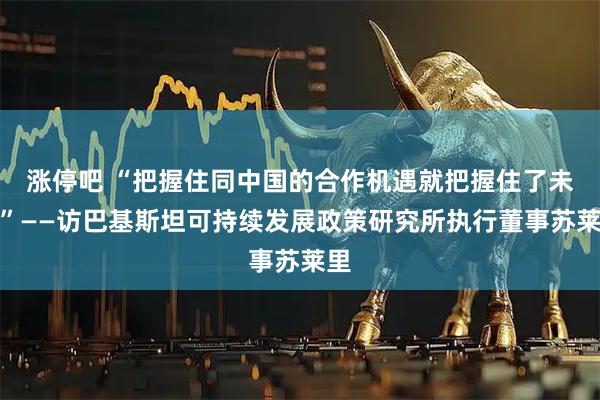 涨停吧 “把握住同中国的合作机遇就把握住了未来”——访巴基斯坦可持续发展政策研究所执行董事苏莱里